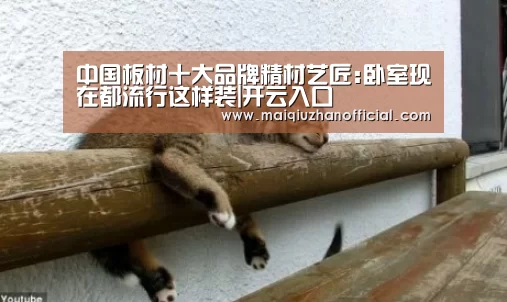 中国板材十大品牌精材艺匠:卧室现在都流行这样装|开云入口(图2) KAIYUN官网