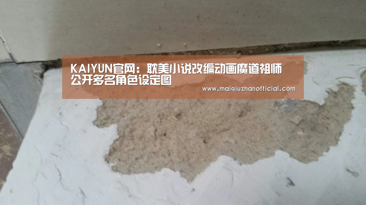 KAIYUN官网:耽美小说改编动画魔道祖师 公开多名角色设定图(图1) 开云体育官网