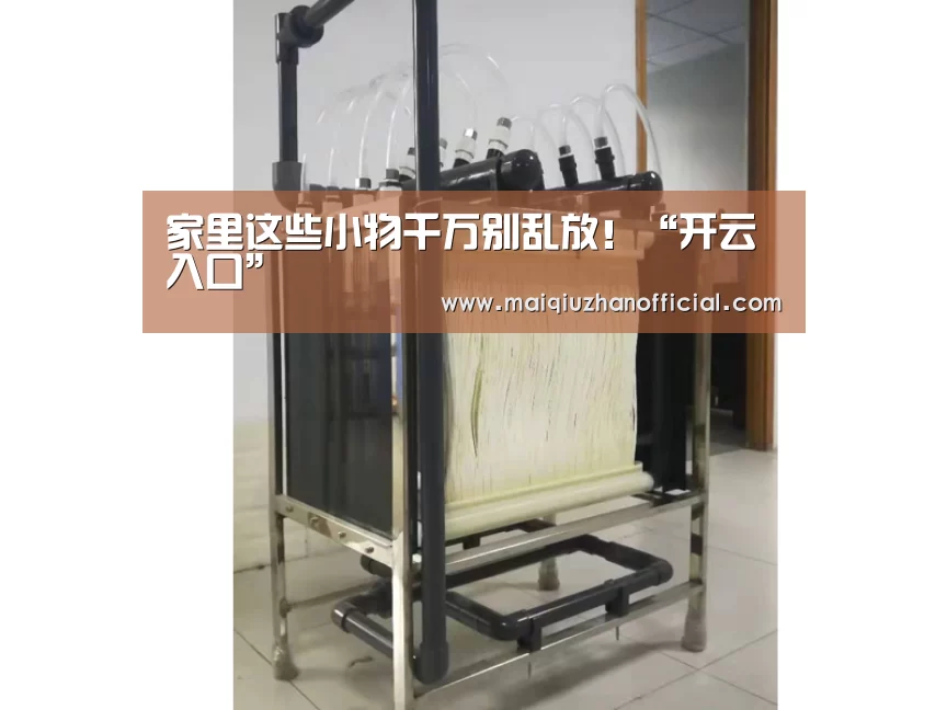 开云体育