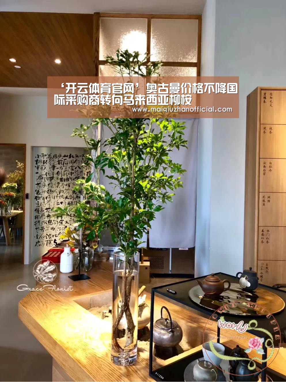 ‘开云体育官网’奥古曼价格不降国际采购商转向马来西亚柳桉(图3) 开云体育