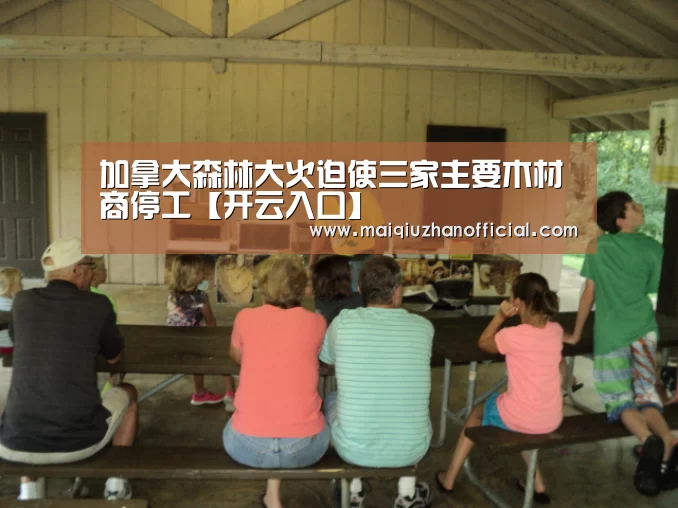 加拿大森林大火迫使三家主要木材商停工【开云入口】(图1) 开云体育