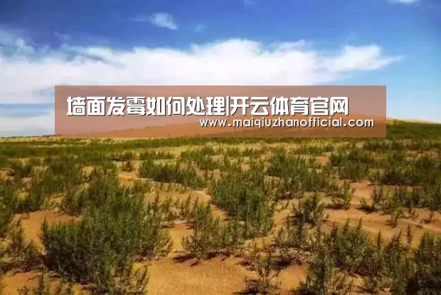 墙面发霉如何处理|开云体育官网(图1) 开云体育